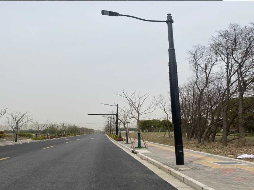 集贤县上海综合杆 太阳能路灯工程